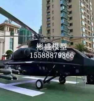 大型飛機(jī)模型