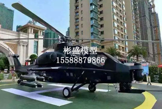 大型飛機(jī)模型